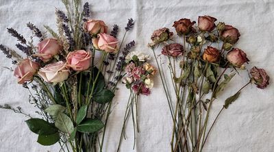 Blumen trocknen: Anleitung für alle Methoden