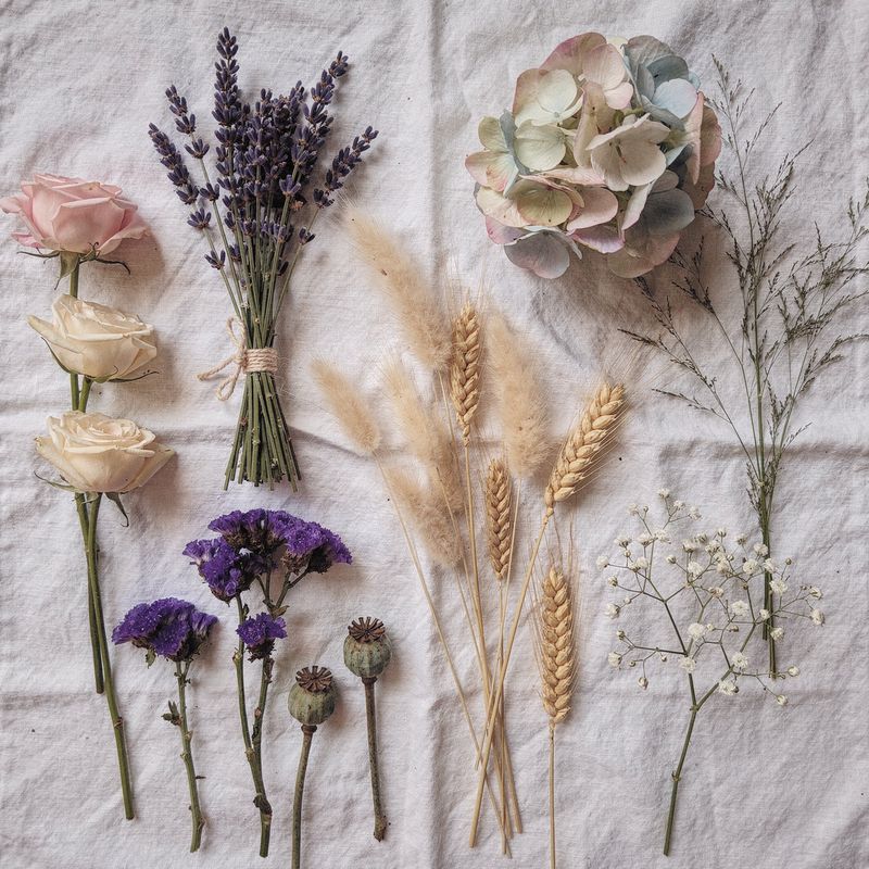 Sortiment der besten Blumen zum Trocknen: Rosen, Lavendel, Hortensien, Gräser und Statice